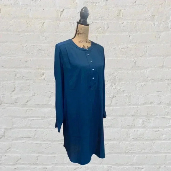 Ann Taylor Loft Shift Dress - Picture 3 of 5